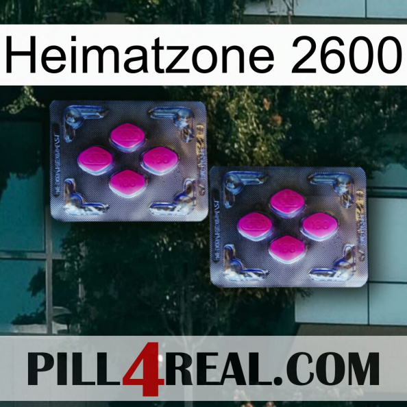 Home Zone 2600 01.jpg